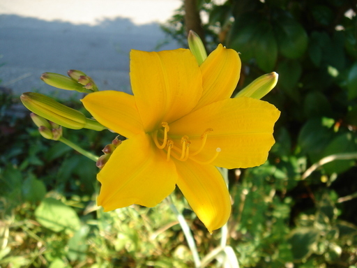 �^�N����́u��͉��|�v