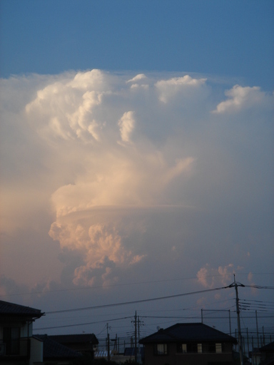 �^�N����́u��͉��|�v