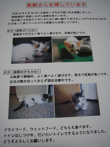 �^�N����́u��͉��|�v