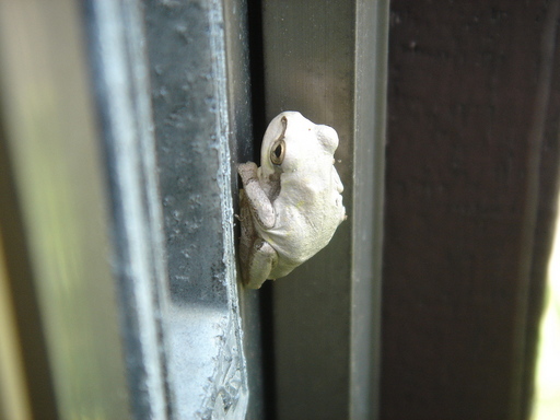 �^�N����́u��͉��|�v