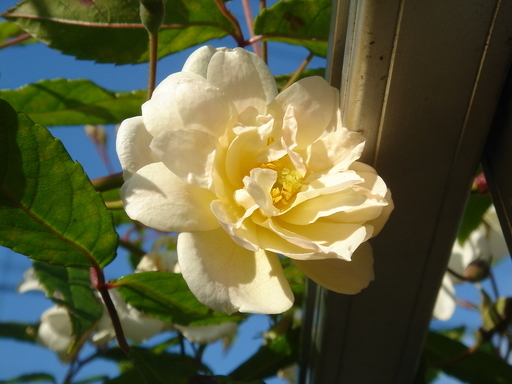 �^�N����́u��͉��|�v