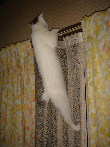 �^�N����́u��͉��|�v