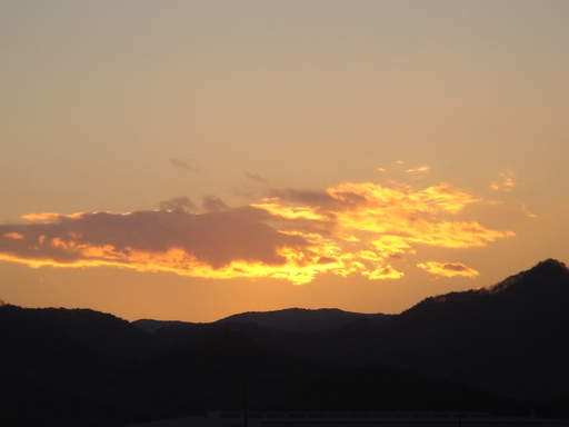 �^�N����́u��͉��|�v