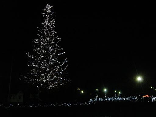 �^�N����́u��͉��|�v