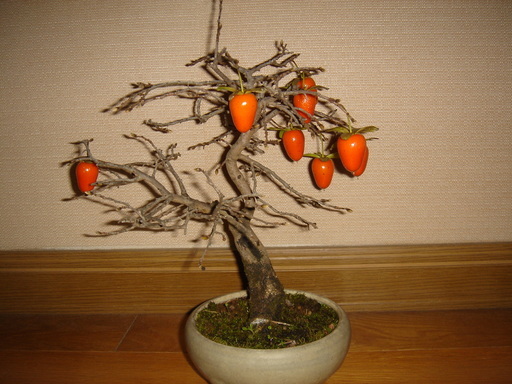 �^�N����́u��͉��|�v