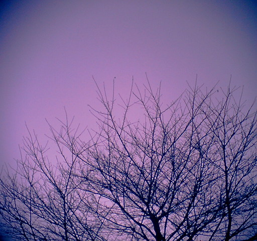 �^�N����́u��͉��|�v