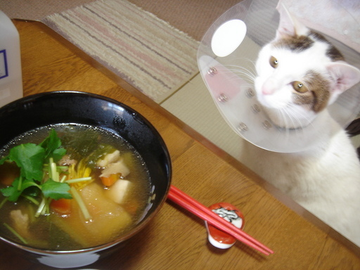 �^�N����́u��͉��|�v