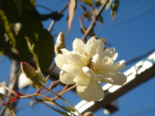 �^�N����́u��͉��|�v