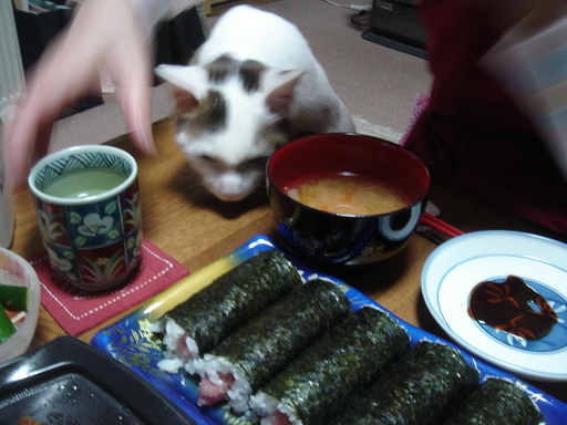 �^�N����́u��͉��|�v