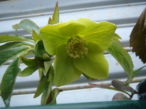 �^�N����́u��͉��|�v