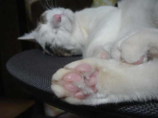 �^�N����́u��͉��|�v