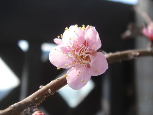 �^�N����́u��͉��|�v