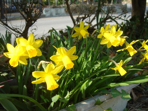 �^�N����́u��͉��|�v