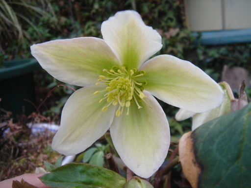 �^�N����́u��͉��|�v