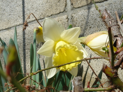 �^�N����́u��͉��|�v