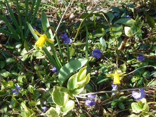 �^�N����́u��͉��|�v