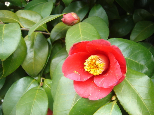 �^�N����́u��͉��|�v