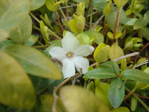 �^�N����́u��͉��|�v