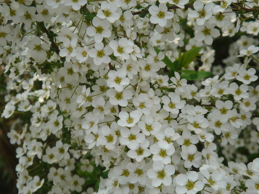 �^�N����́u��͉��|�v