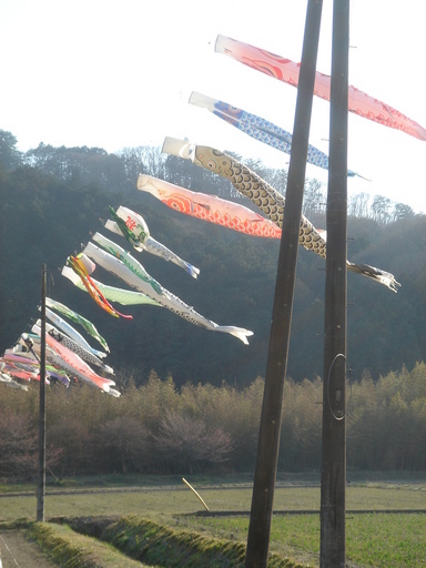 �^�N����́u��͉��|�v