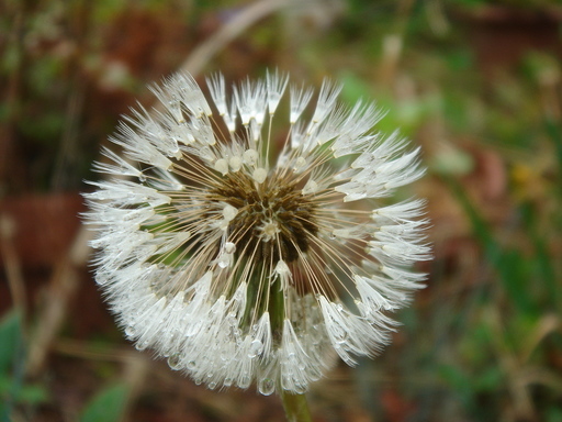 �^�N����́u��͉��|�v