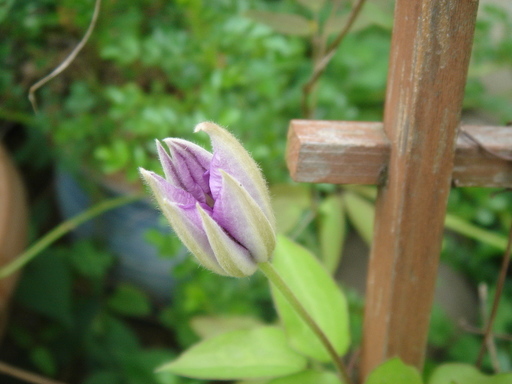 �^�N����́u��͉��|�v