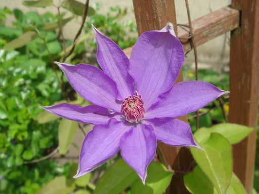 �^�N����́u��͉��|�v