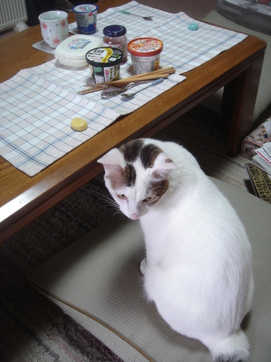 �^�N����́u��͉��|�v