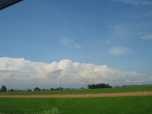 �^�N����́u��͉��|�v