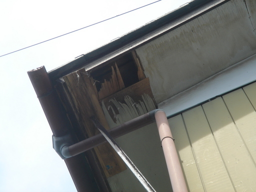 �^�N����́u��͉��|�v