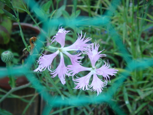 �^�N����́u��͉��|�v