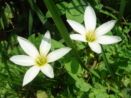 �^�N����́u��͉��|�v