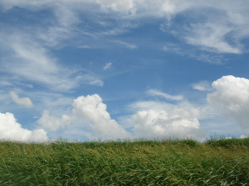 �^�N����́u��͉��|�v