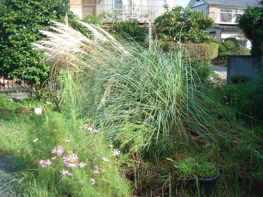 �^�N����́u��͉��|�v