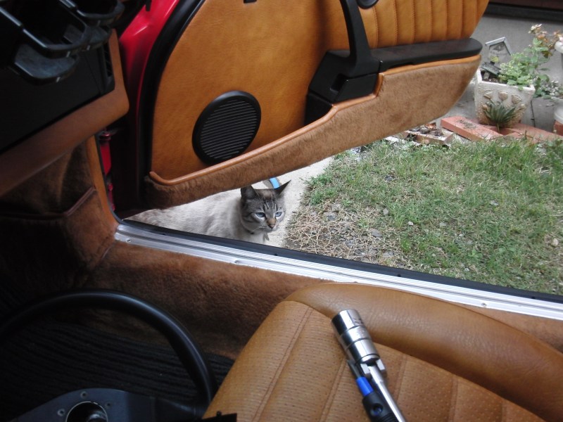 ���܂̕s������L