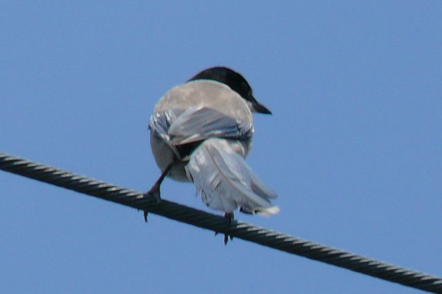 ���܂̕s������L