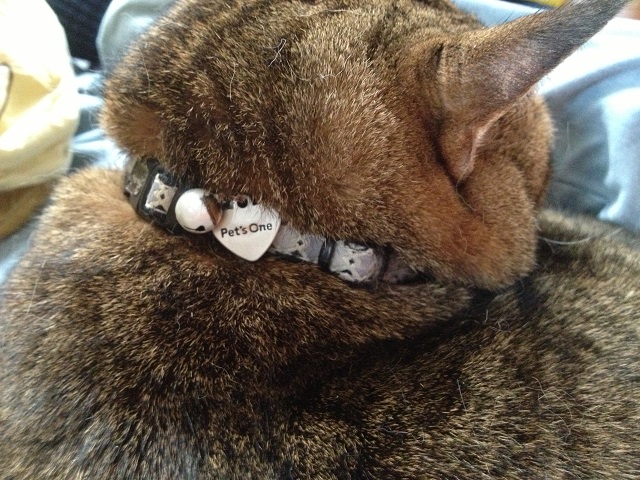 ���܂̕s������L