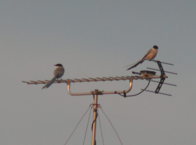 ���܂̕s������L