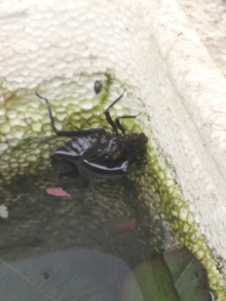 ���܂̕s������L