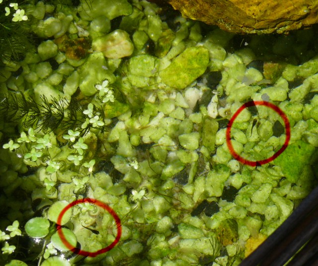 ���܂̕s������L