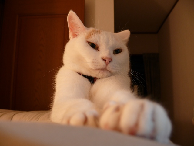 ���܂̕s������L