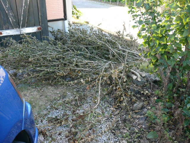 ���܂̕s������L