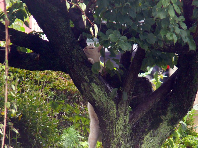 ���܂̕s������L