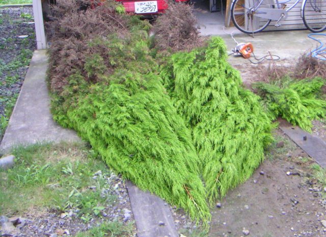 ���܂̕s������L