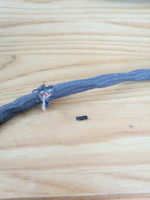 ���܂̕s������L