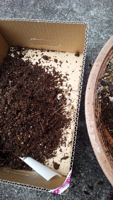 ���܂̕s������L