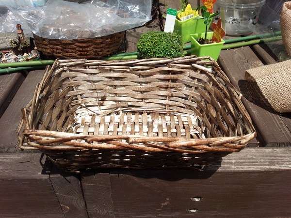 ���܂̕s������L