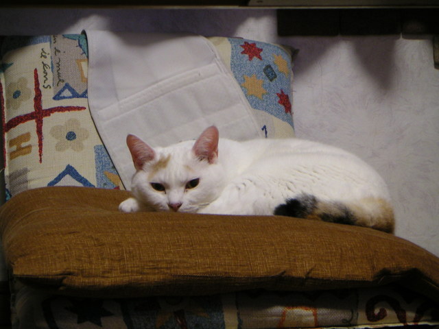 ���܂̕s������L