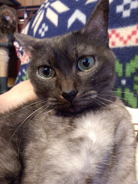 ���܂̕s������L