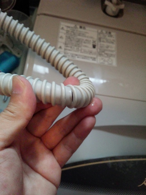 ���܂̕s������L